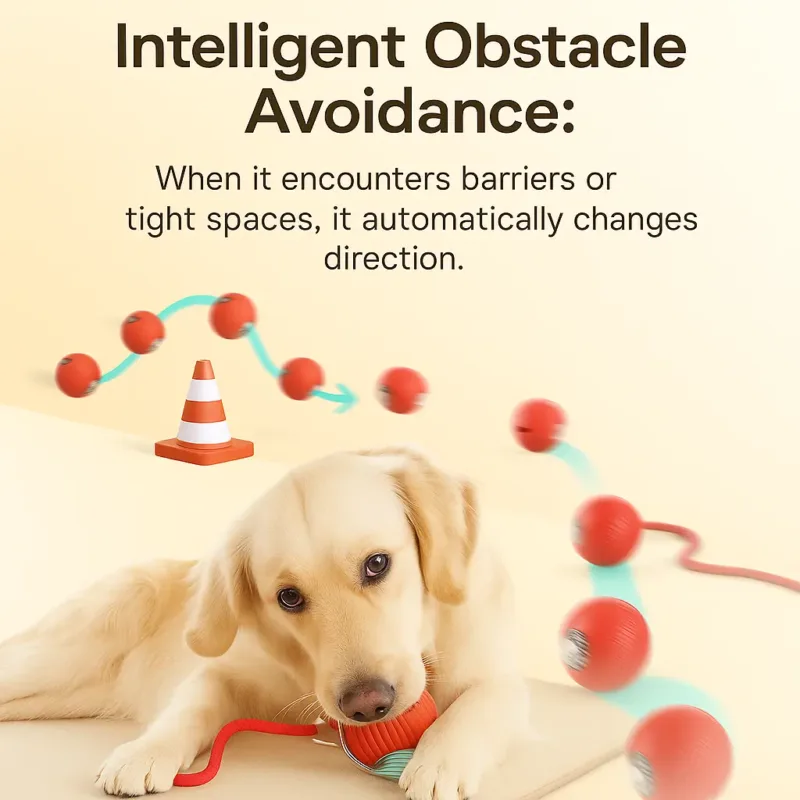 interactive Pet toy ball