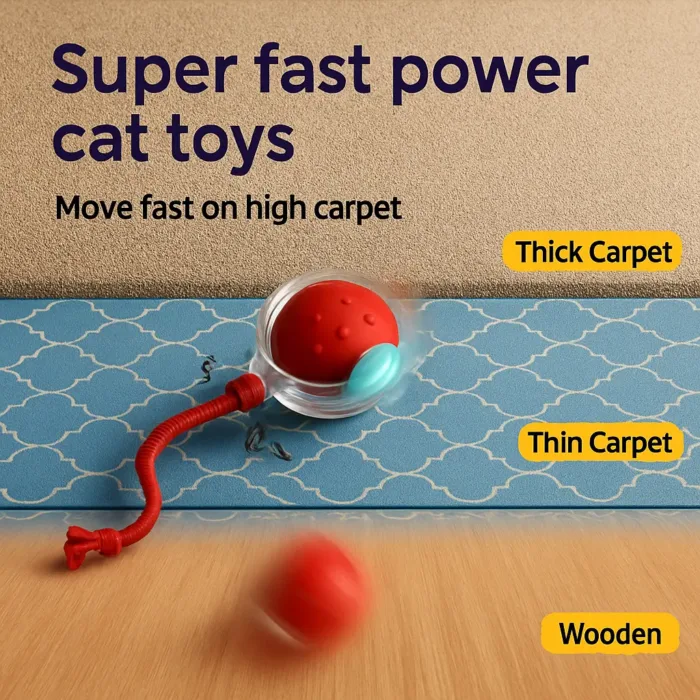 pet toy ball
