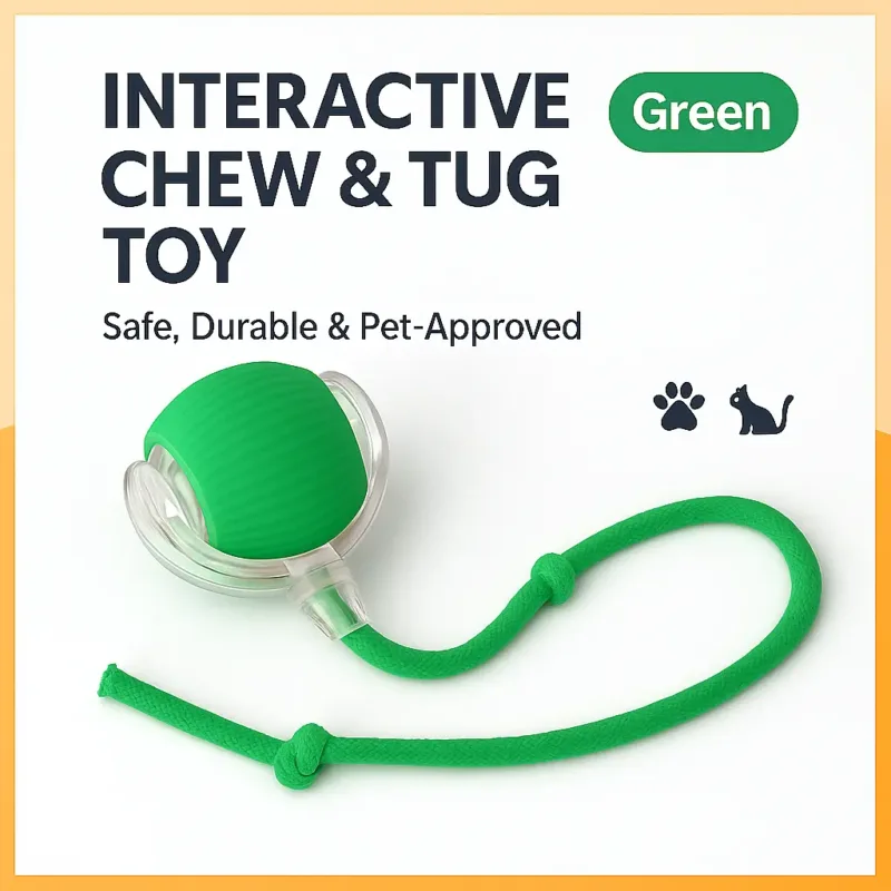 Green cat toy ball