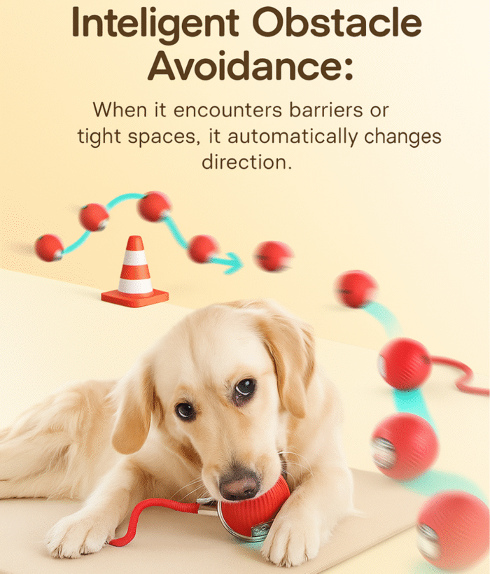 PEt toy ball