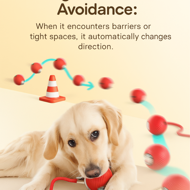 PEt toy ball