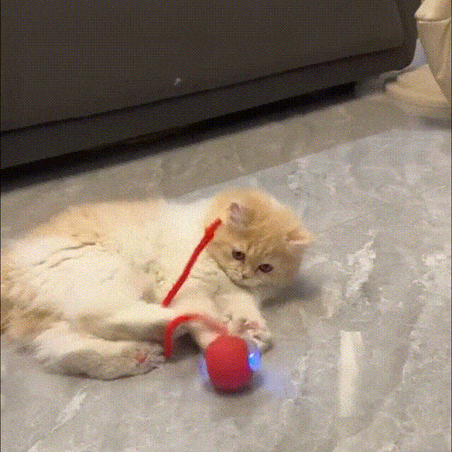interactive pet toy ball 