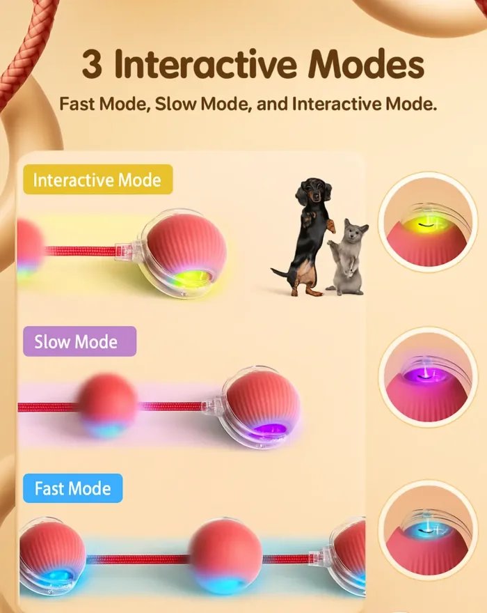 vibewithlife pets toy